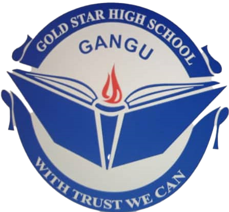 Gold star high school